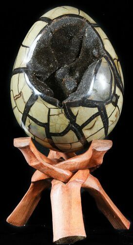 Septarian Dragon Egg Geode - Black Crystals #48004